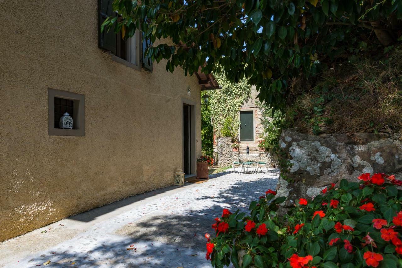 Villa Brancoli Capannori Exterior foto